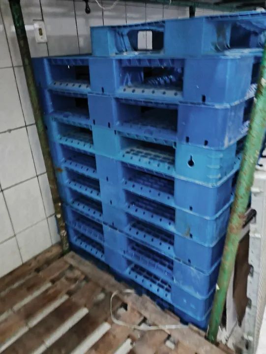 Bandejas Plásticas e Pallets - Foto 2