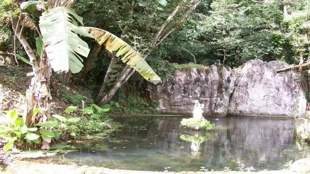 Maravilhosa Área Comercial com Imóvel na Tabatinga Caraguatatuba - Foto 3