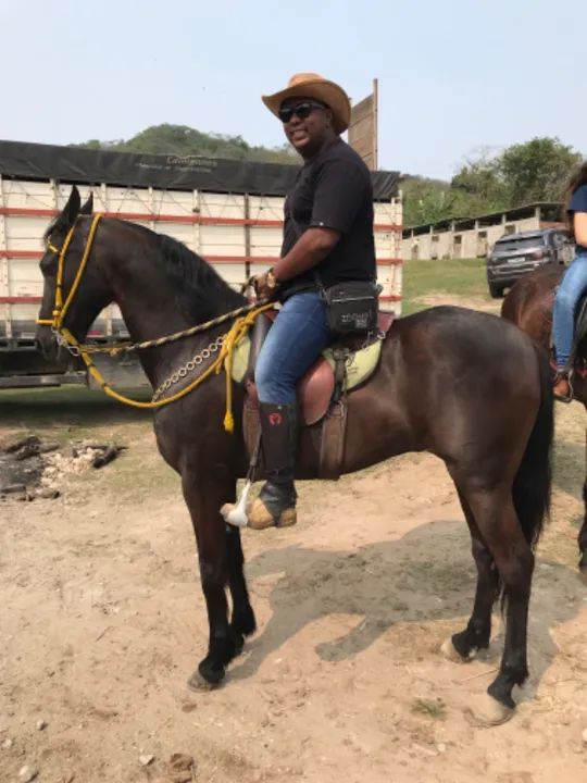 Vendo cavalo mangalarga marchador - Foto 2