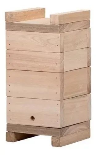 Caixa De Abelha Sem Ferrão Jataí Asf Modelo Inpa Eucalipto Rosa 12x12