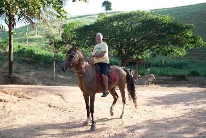 Vendo cavalo de campo - Guarapari, ES - Foto 4