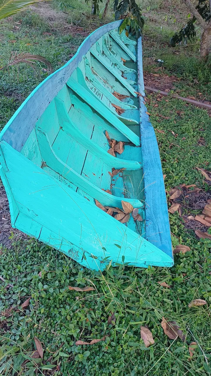 Canoa