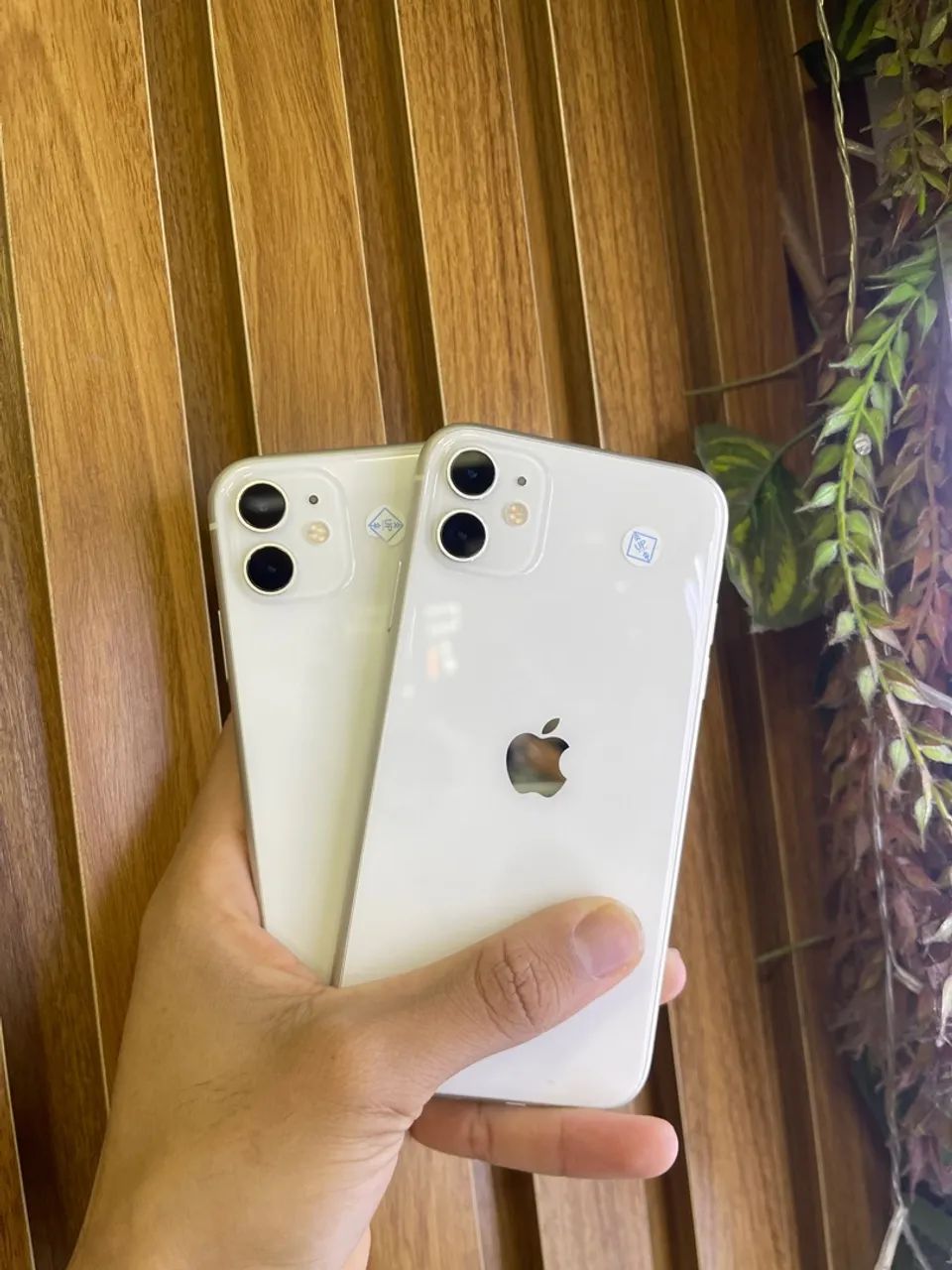 iPhone 11