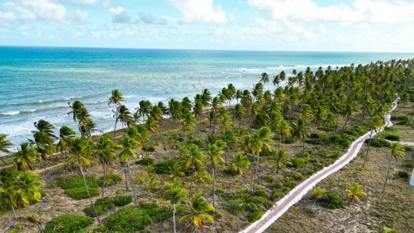 Lançamento em Praia do Forte - Empreendimento Beira-Mar - Cadastre-se!