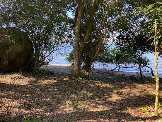 Lagoa da Conceição Terreno(Costa da Lagoa) Oportunidade Imperdível...510 MIL - Foto 4