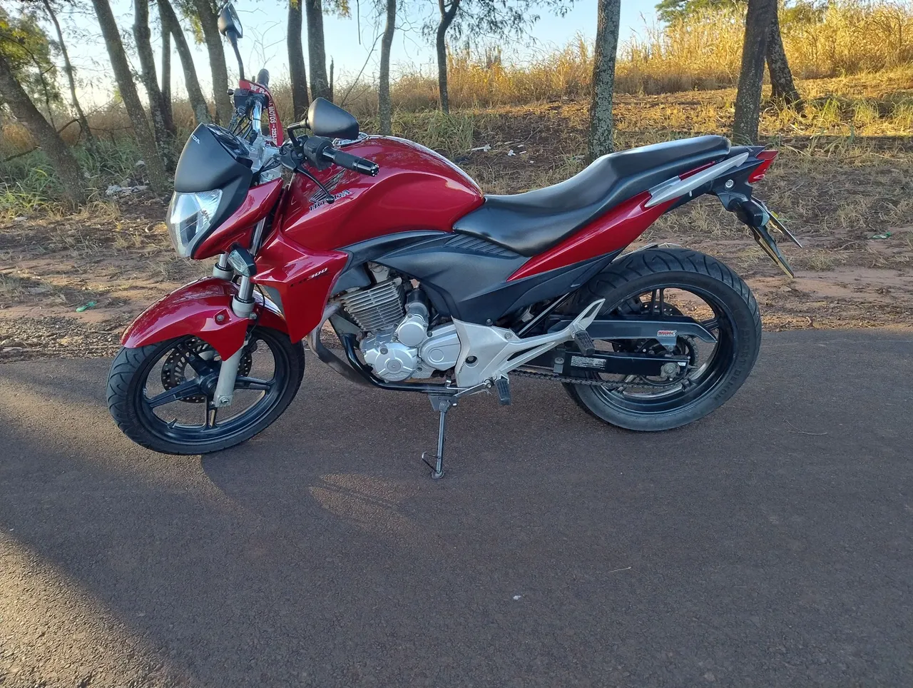 Cb300r 2013 Flex
