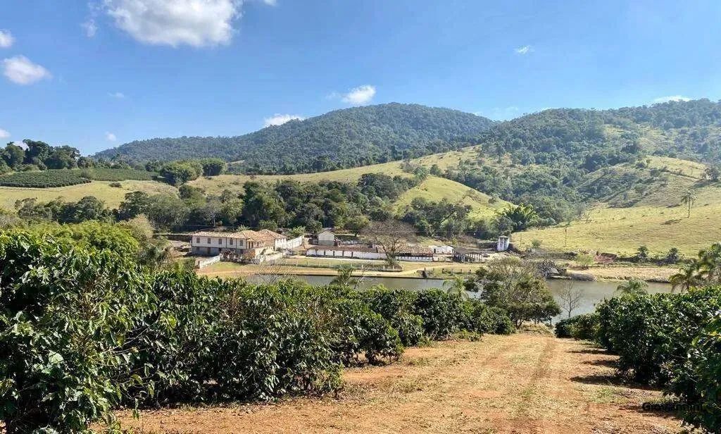 Fazenda de Café e Gado em Bom Sucesso - Minas Gerais - Foto 2