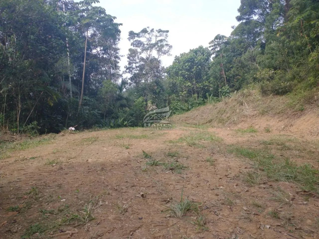 Terreno Rural para Venda em Angelina, LINHA DO CHAVES