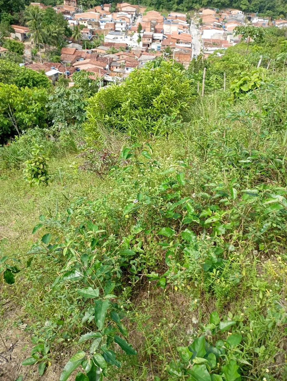 Terreno a venda