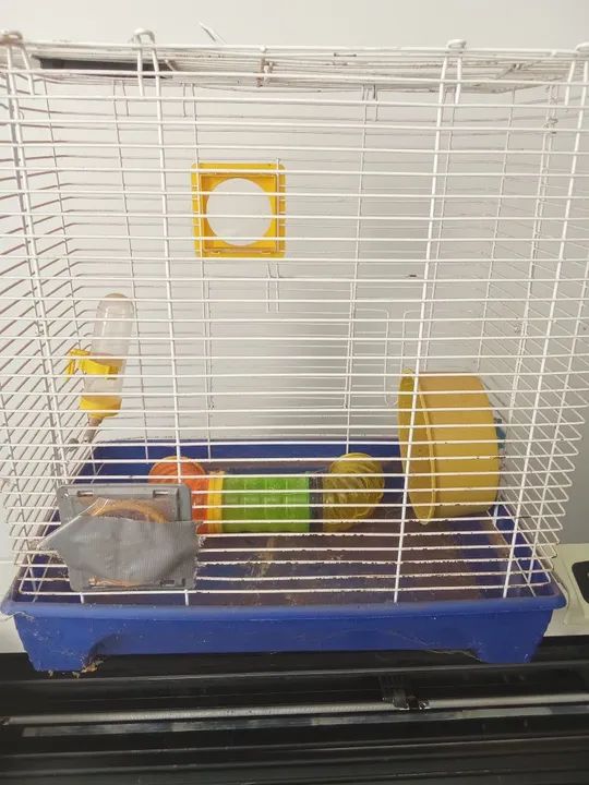 Gaiola para Roedores - Quatiquá - Foto 2