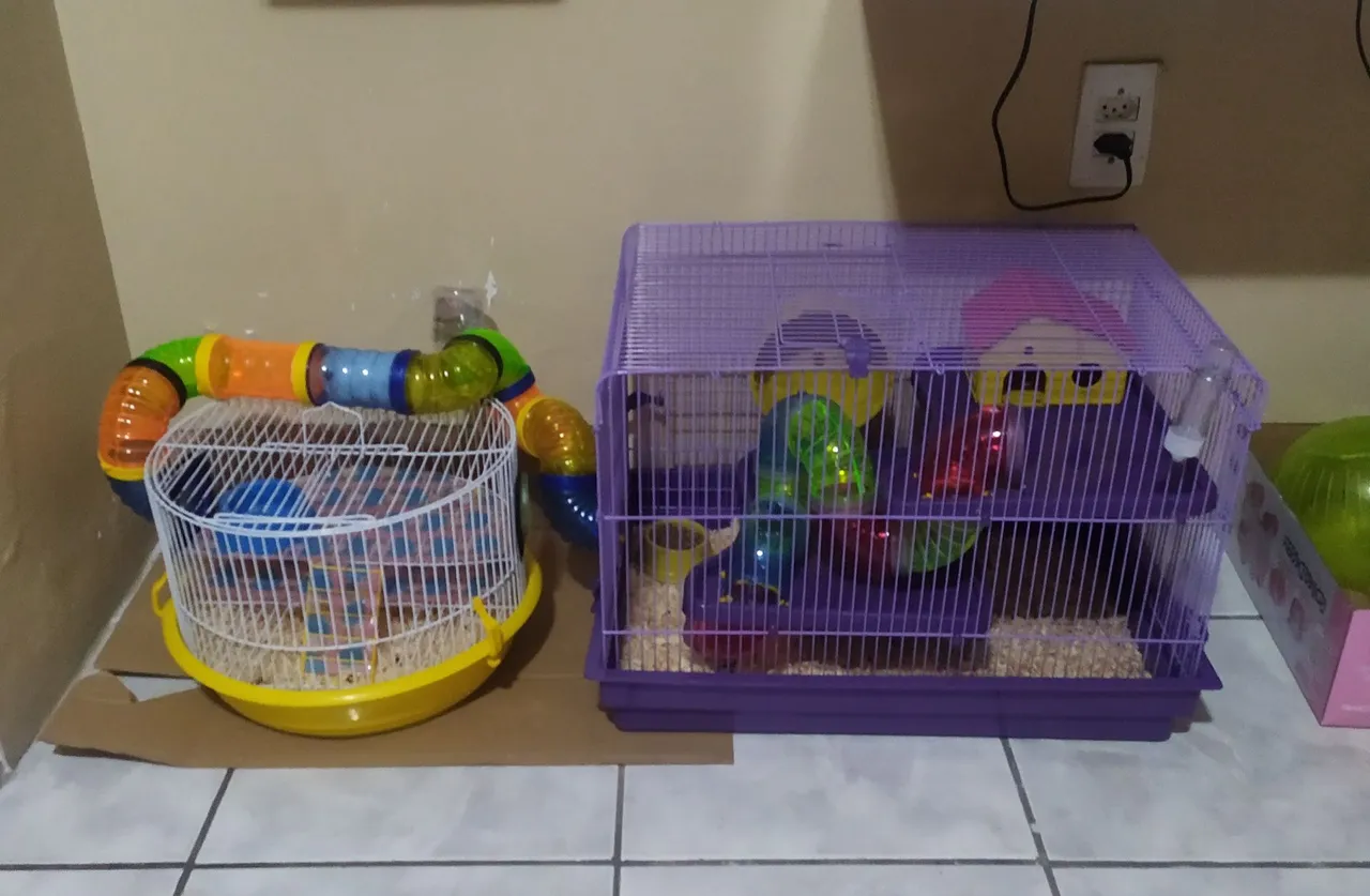 Casinha e Gaiolas para Hamster