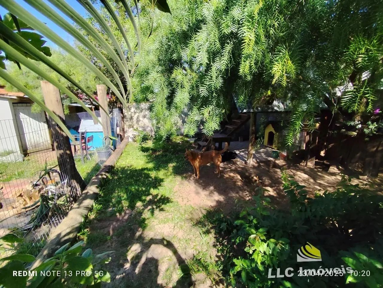 Casa para Venda em Imbituba, São Tomaz, 2 dormitórios, 1 banheiro, 1 vaga - Foto 4