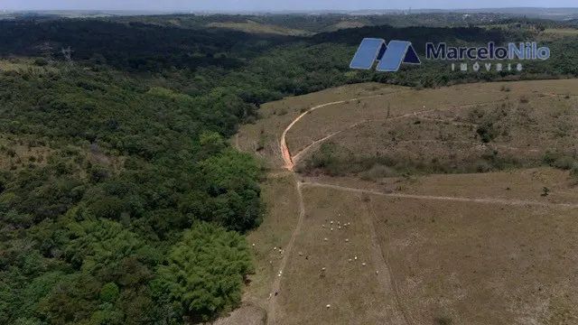 Fazenda em Igarassu Com 160 Hectares - Foto 4