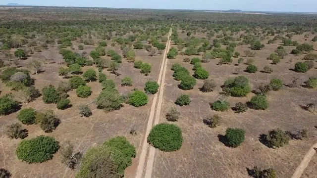 Fazenda à venda, m² por R$ 225.000.000,00 - Zona Rural - Porto Nacional/TO