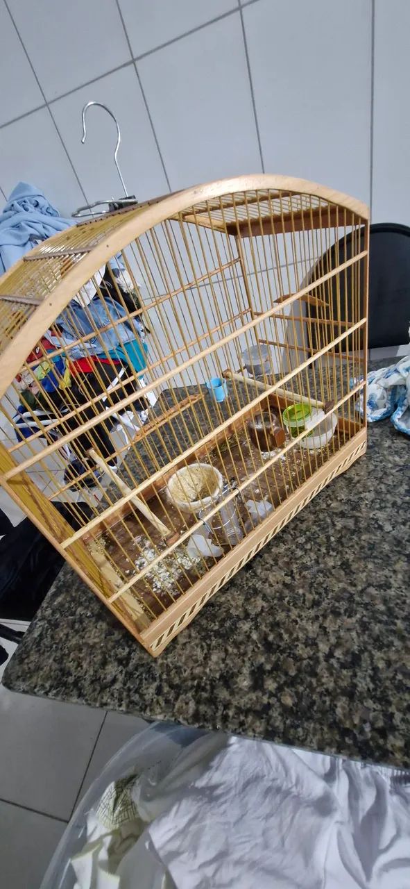 Gaiola uma semana de uso - Foto 2