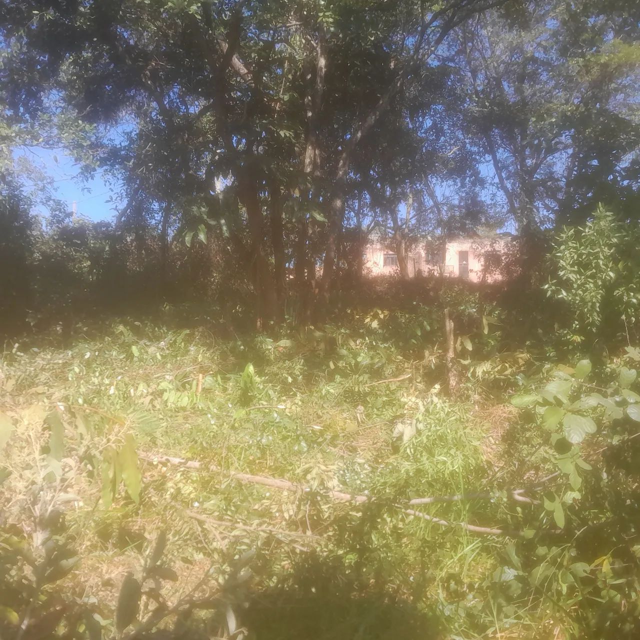 Lotes de 300 mts  - Foto 2