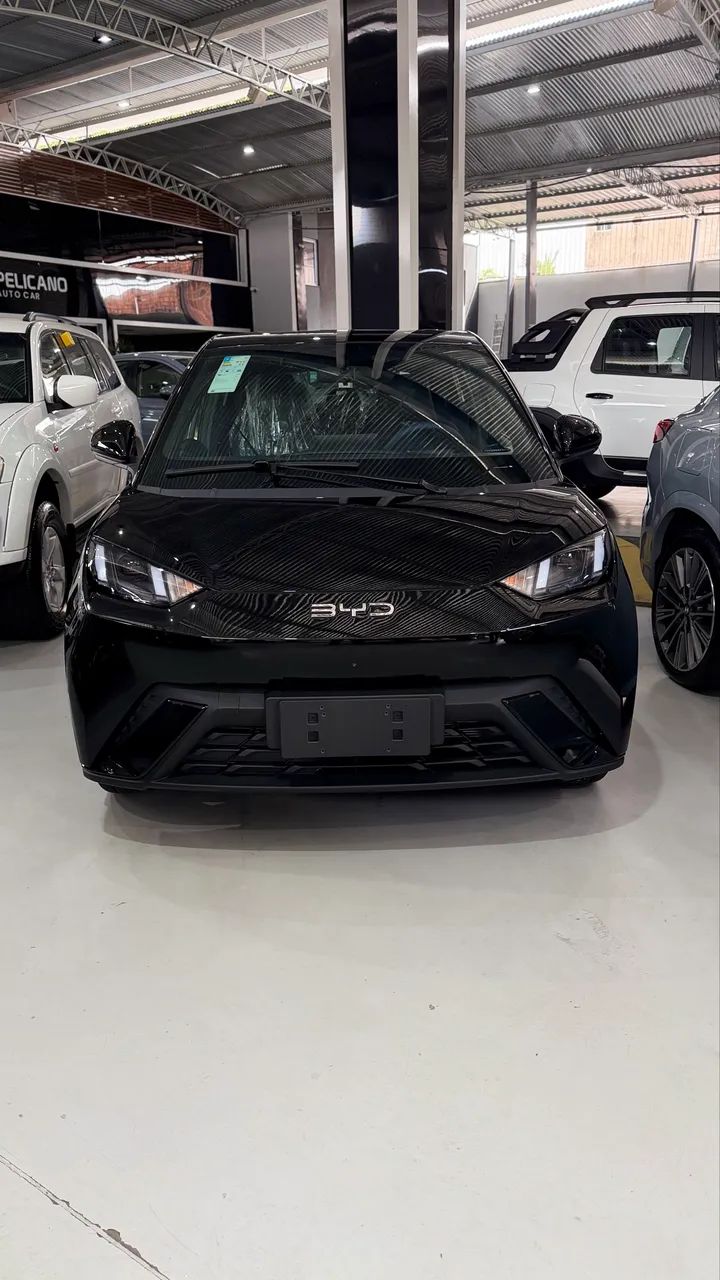 BYD Dolphin Mini (Elétrico) 2027 - Foto 2
