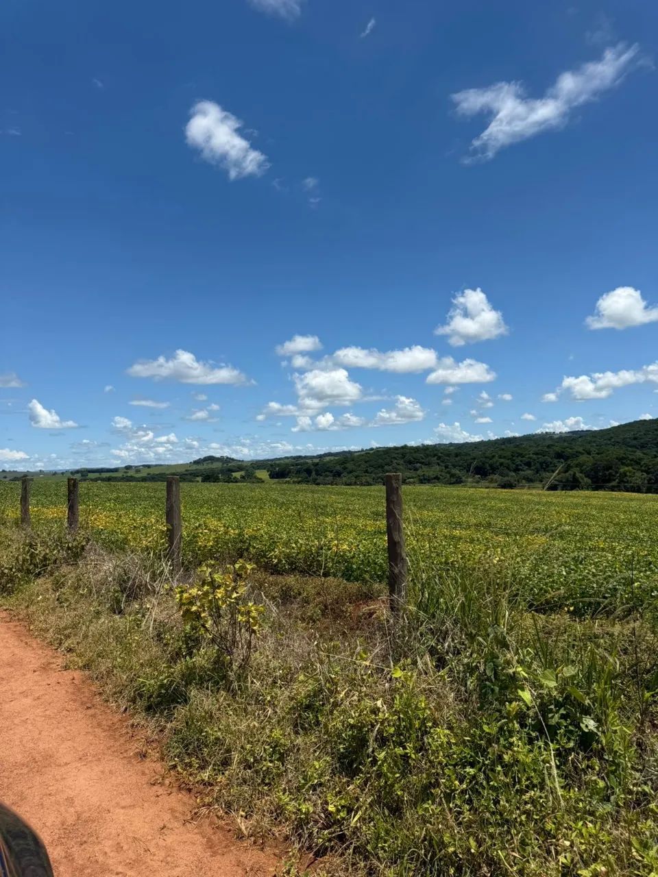 Fazenda Goianapolis - Foto 3