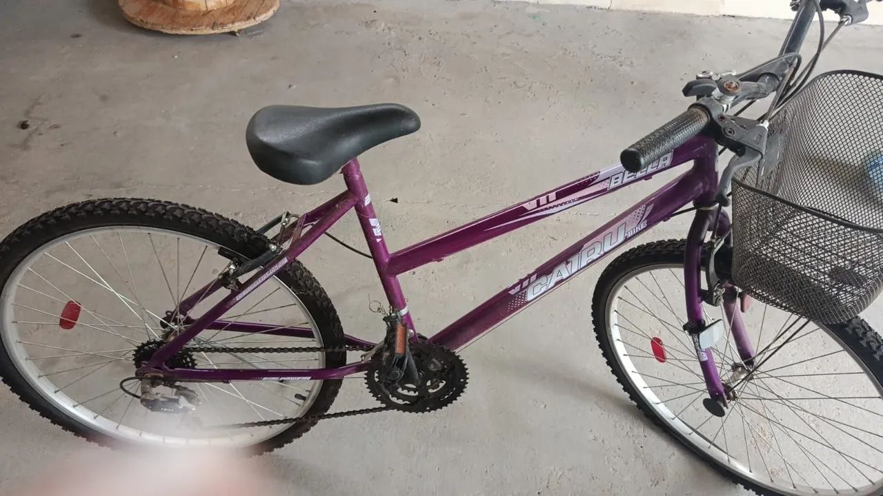 Bicicleta 