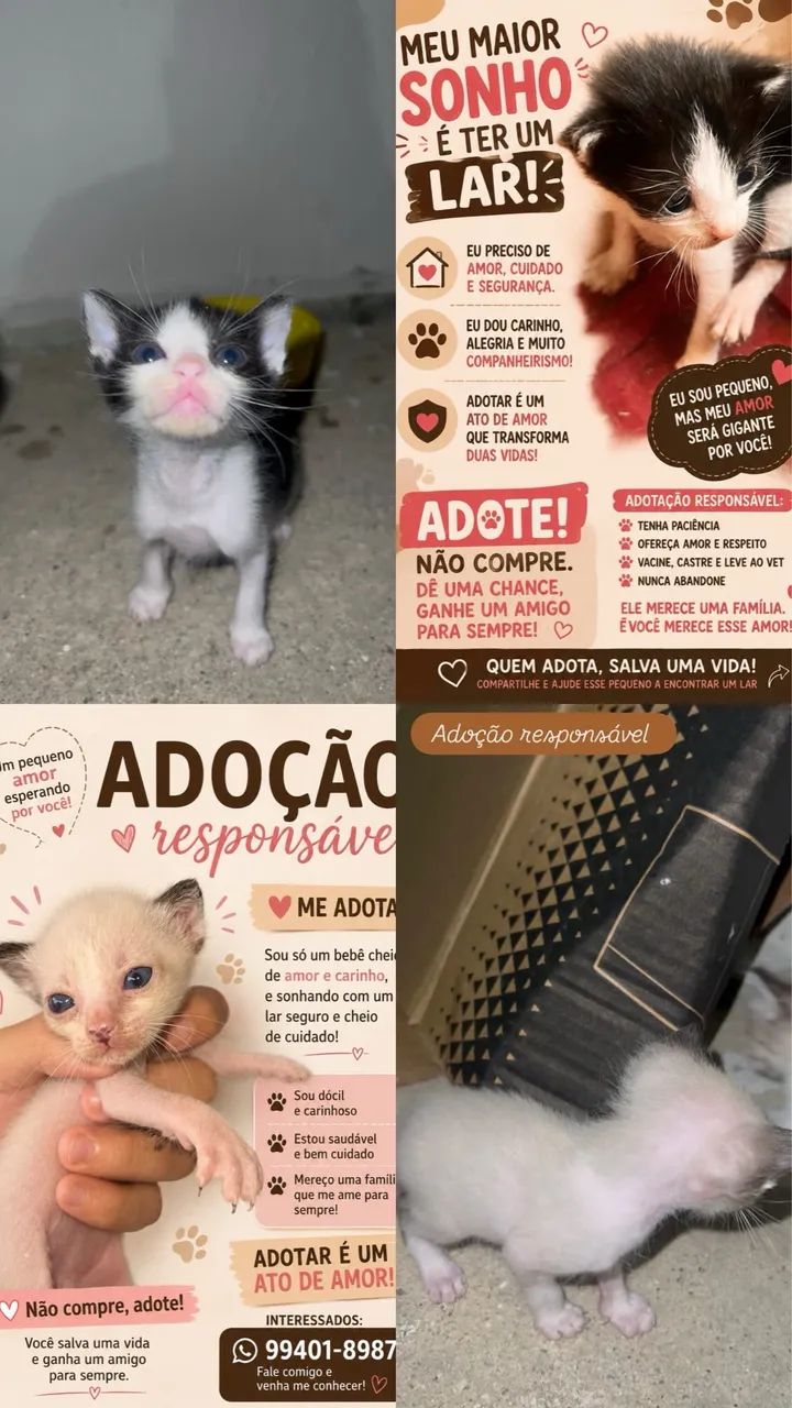 Adoção  - Foto 2