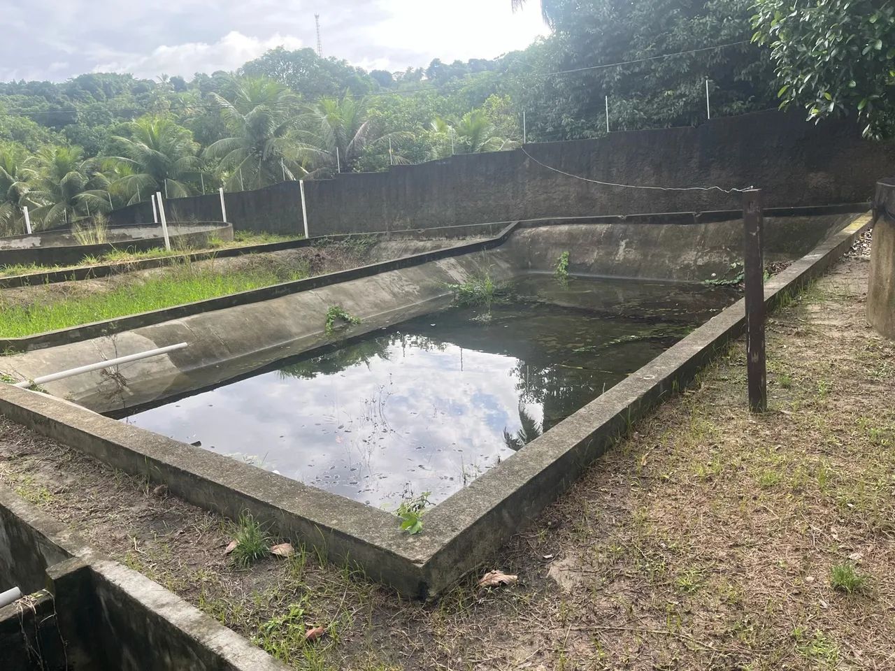 Sítio com nascente em Goiana-PE - Foto 5