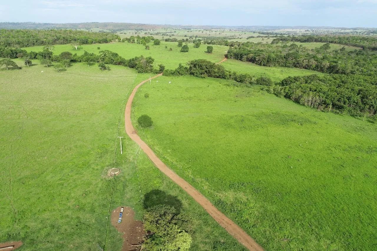 Fazenda 100 hectares Campina verde  - Foto 4