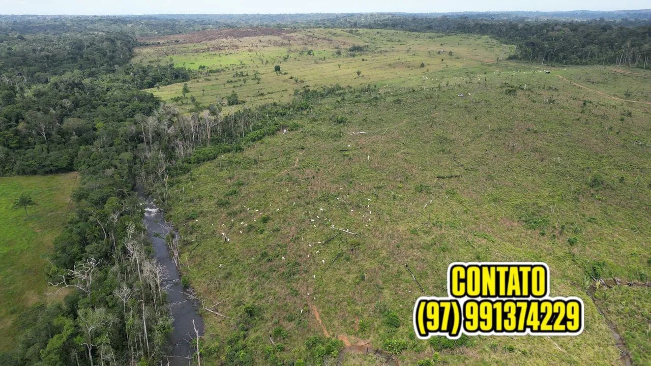 EXCELENTE FAZENDA EM APUÍ AMAZONAS - Foto 4