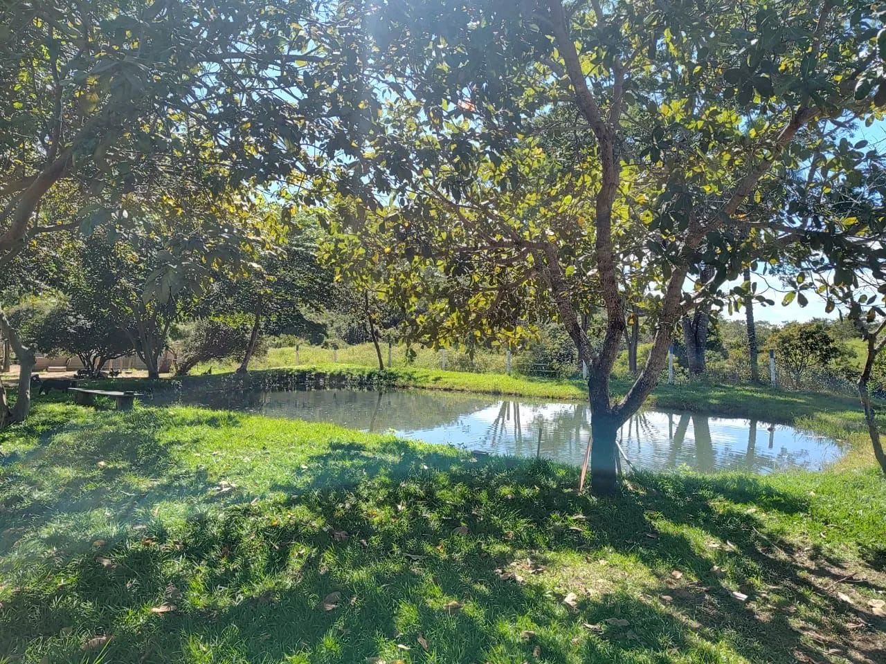 Fazenda em Heitorai-go  - Foto 2