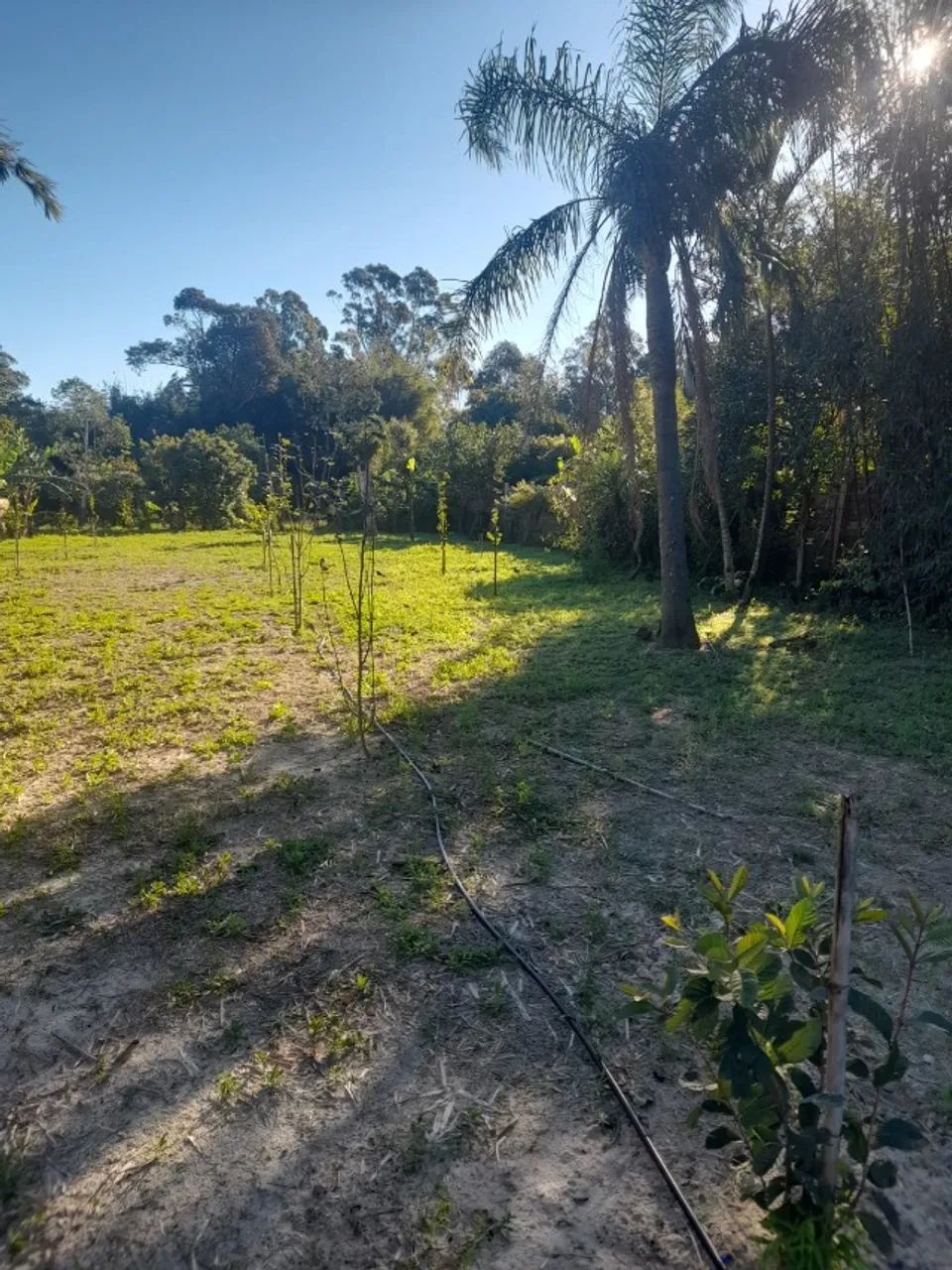 Sitio  - Foto 5