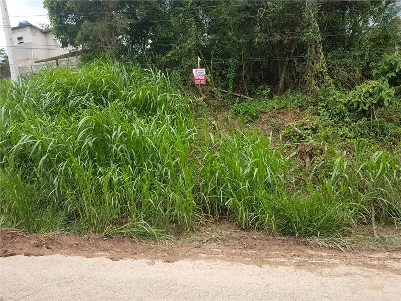 Terreno à venda em Santa inês - SP - Foto 4
