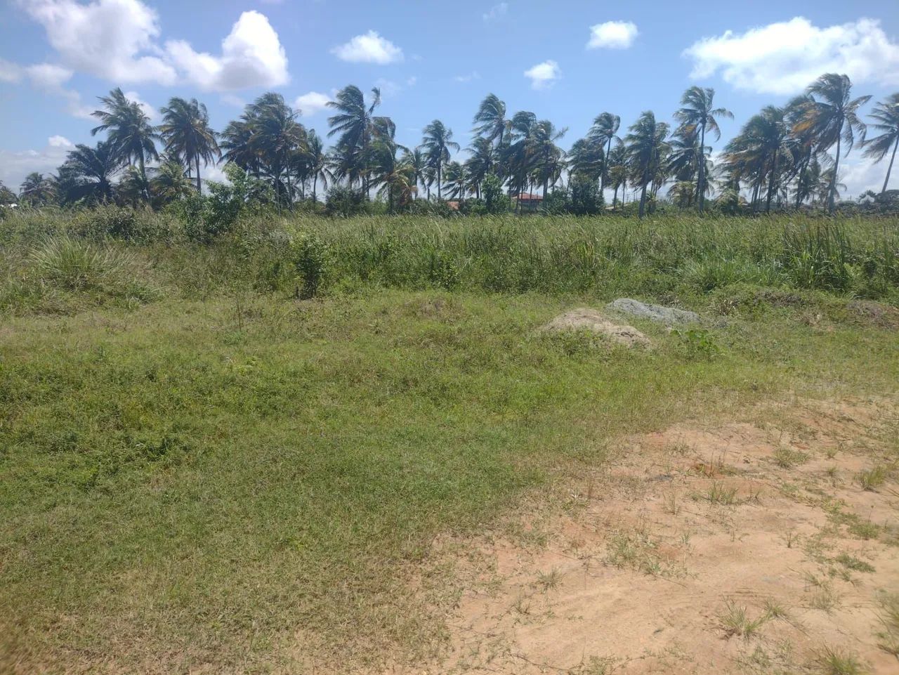 Terreno em marechal Deodoro  - Foto 3