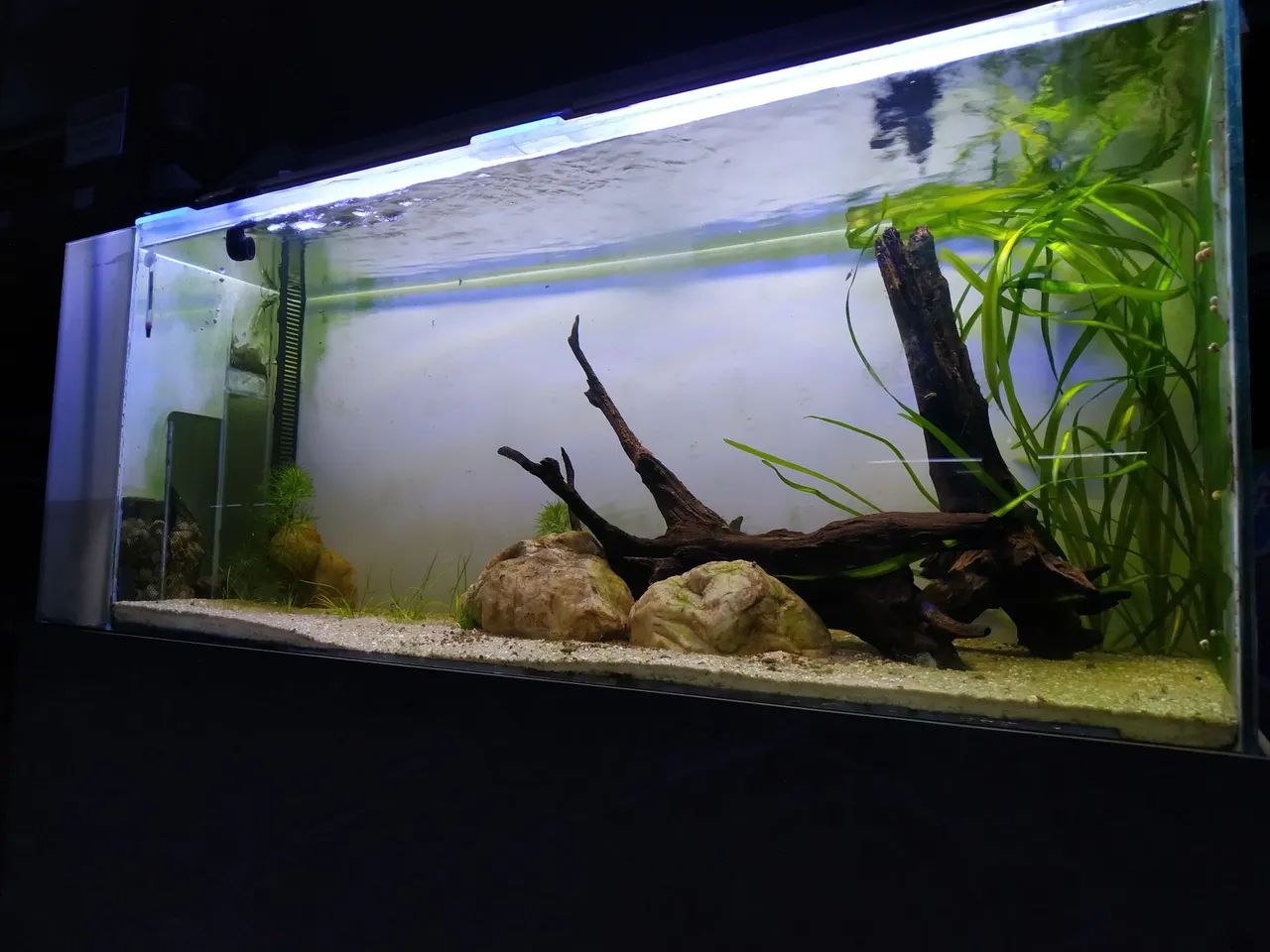 Aquário 292 litros completo.