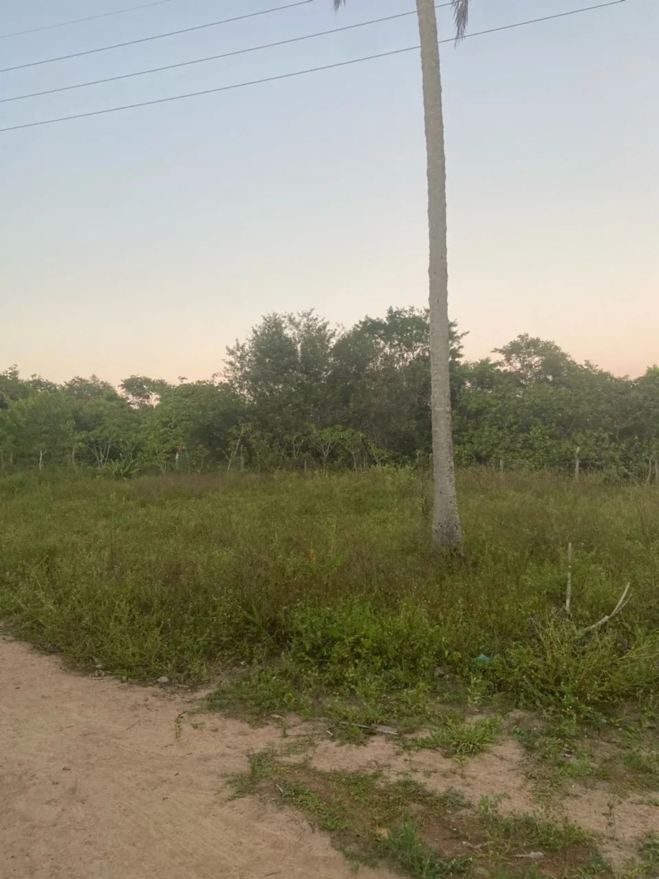 Sítio a venda, casa inclusa com a venda  - Foto 2