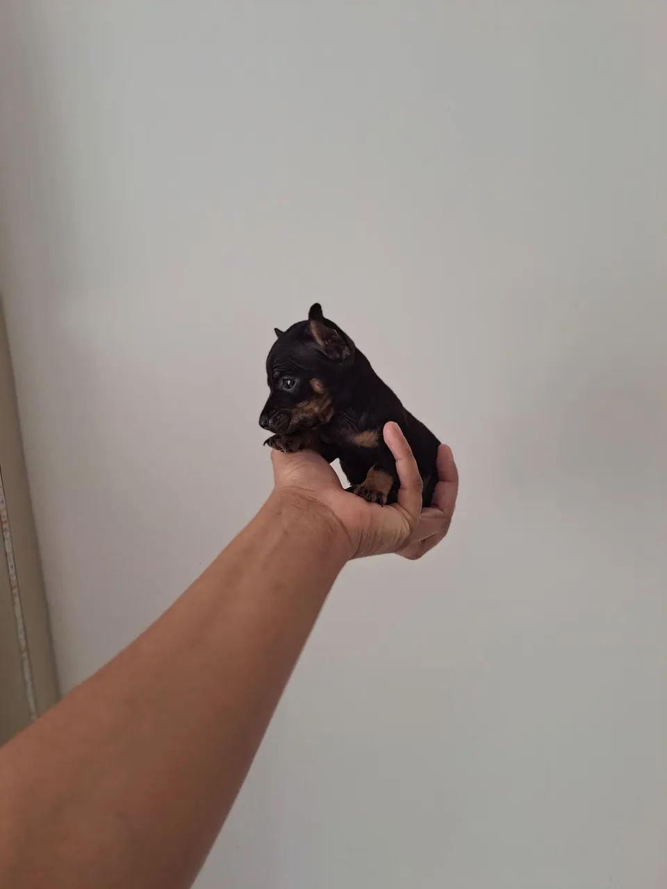 Zerinhos para encantar seu dia 