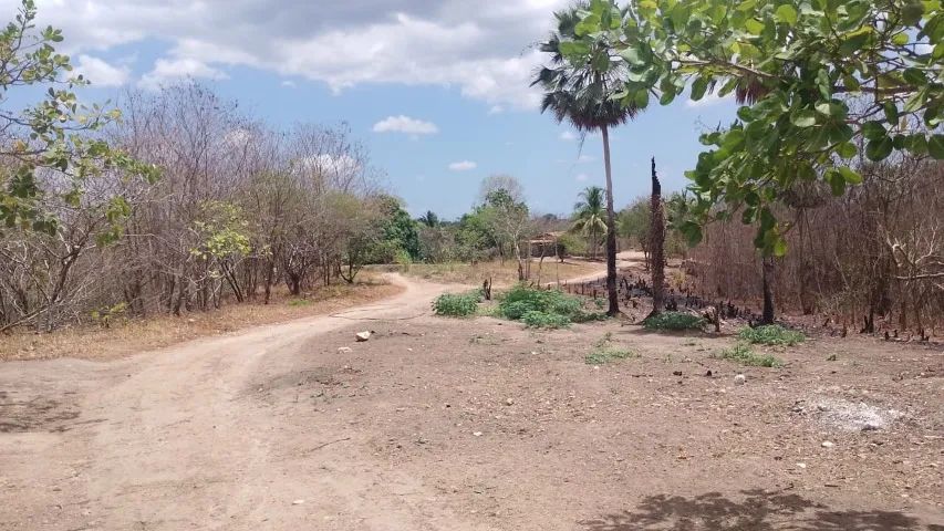 Sítio a venda em Pacatuba de 48,7 hectares  - Foto 5
