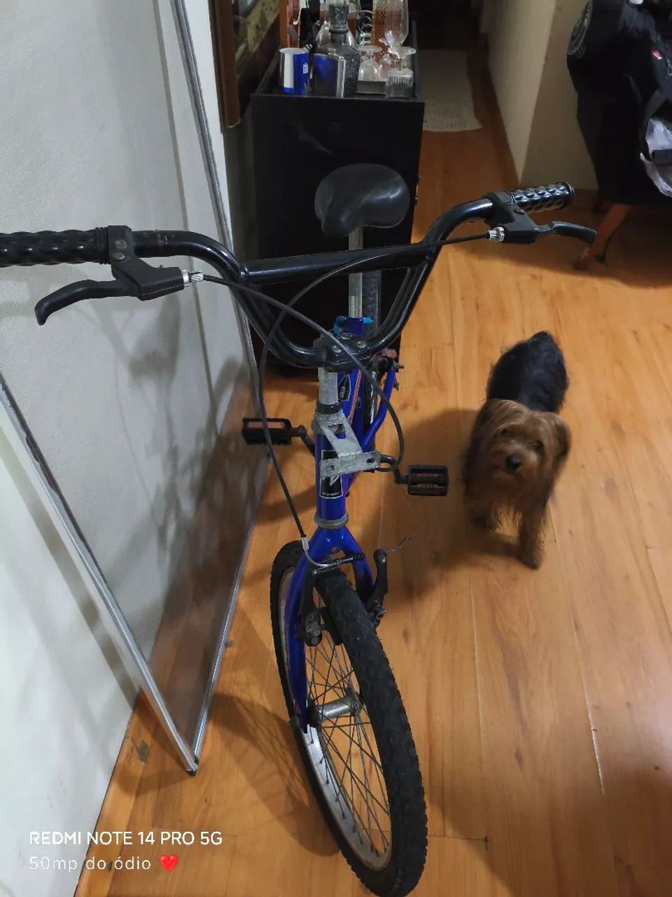 Bicicleta Wendy aro 20 - Foto 4