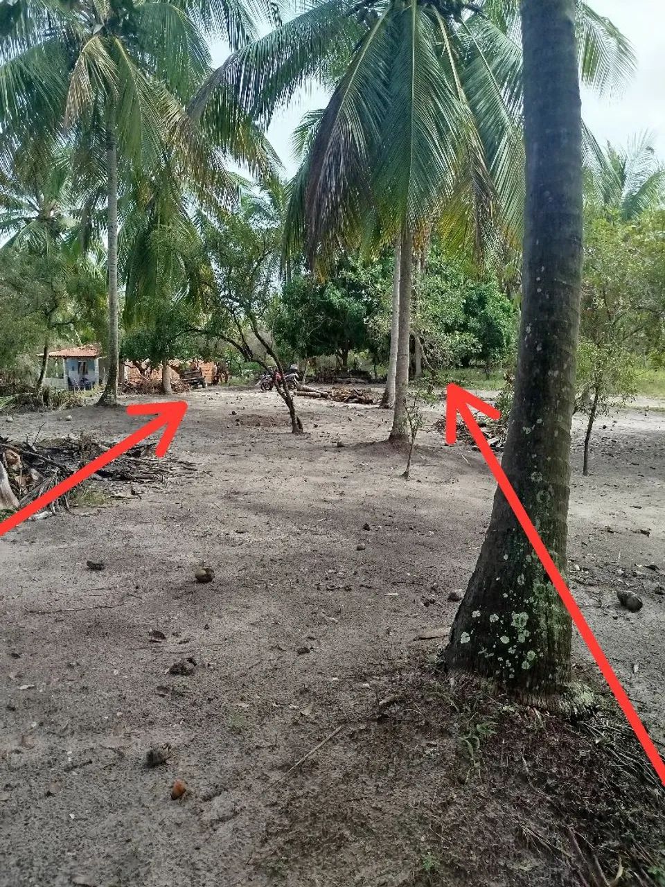 Terreno em lagoa redonda  - Foto 4