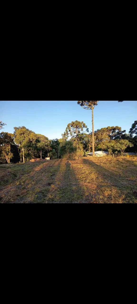 Chácara Terreno com 5.000m2 - Foto 2