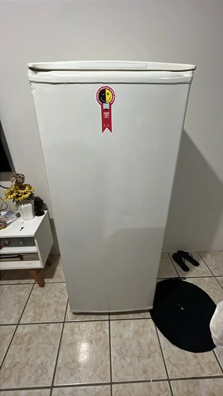 Geladeira - Foto 2