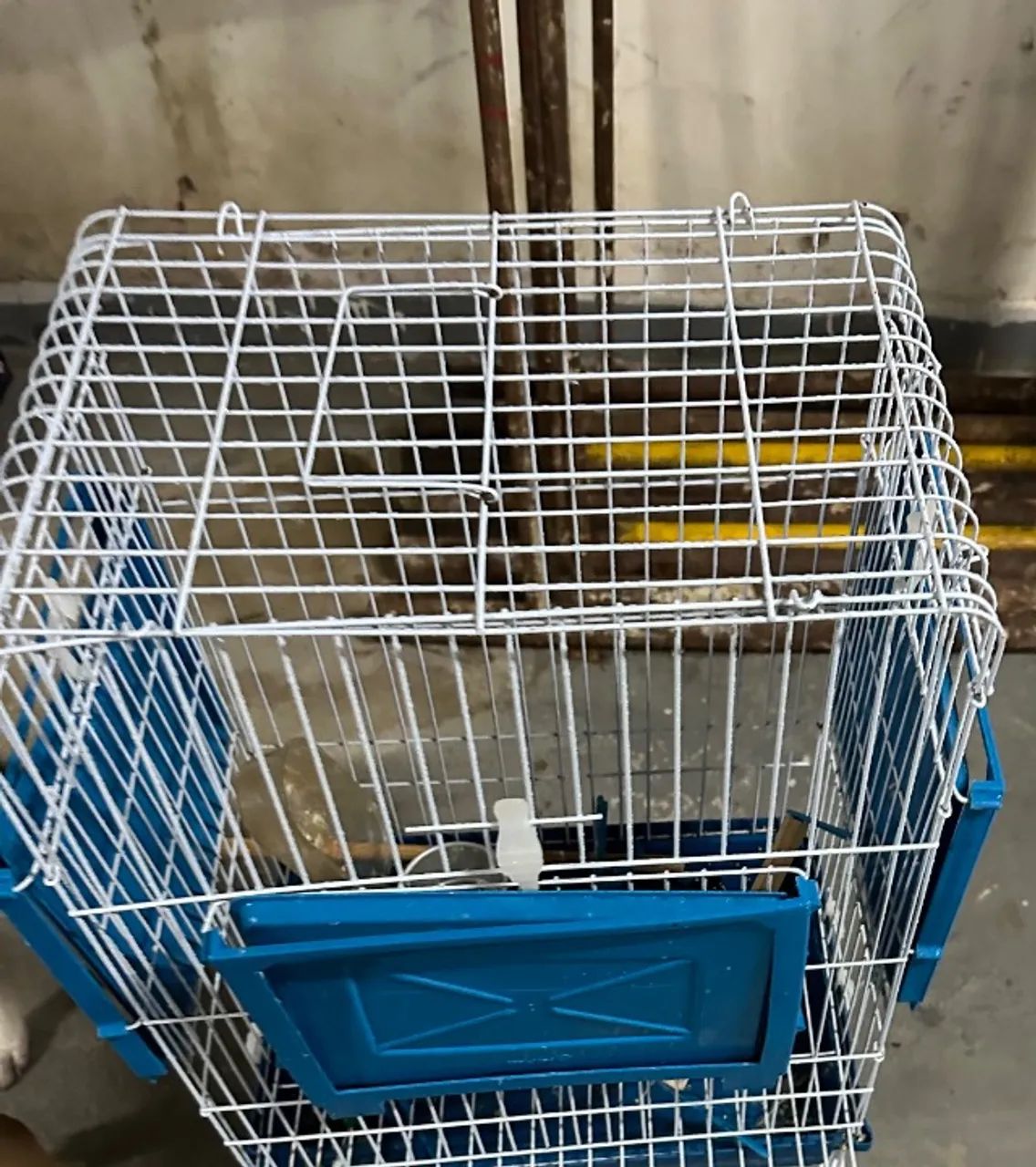 Gaiola para calopsita