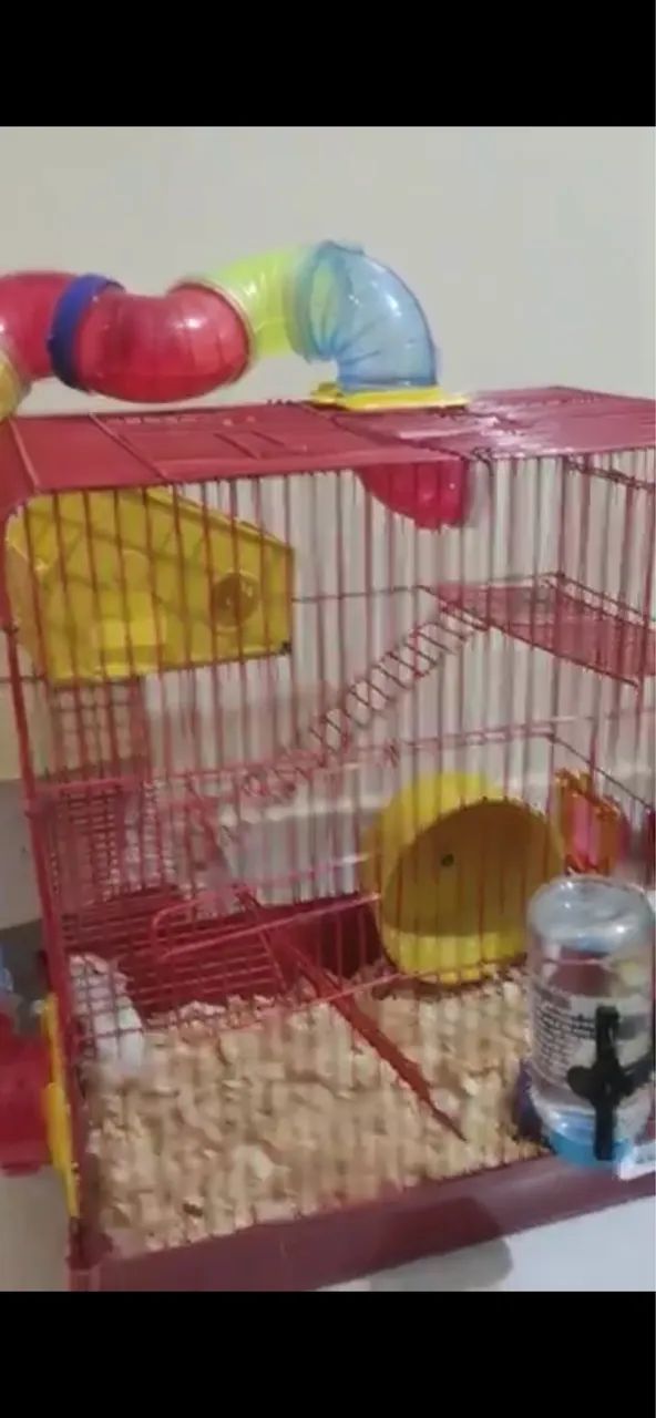 Gaiola de ramster 3 andares - Foto 2