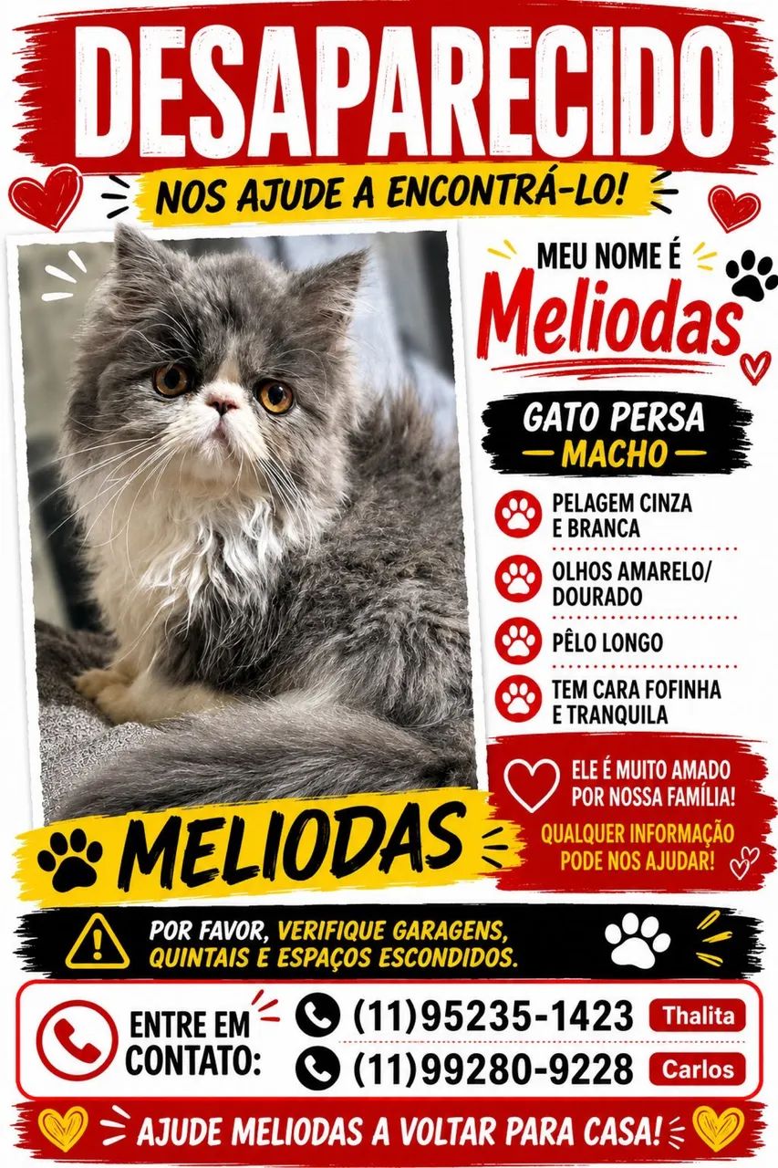 Gato desaparecido  - Foto 2