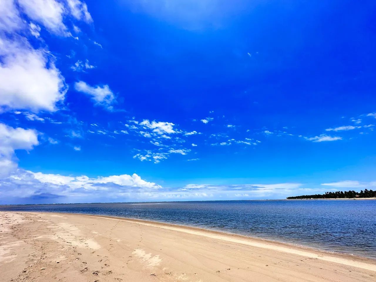 Japaratinga. Área com 8 hectares (80mil metros quadrados), Litoral Nortee - Foto 7
