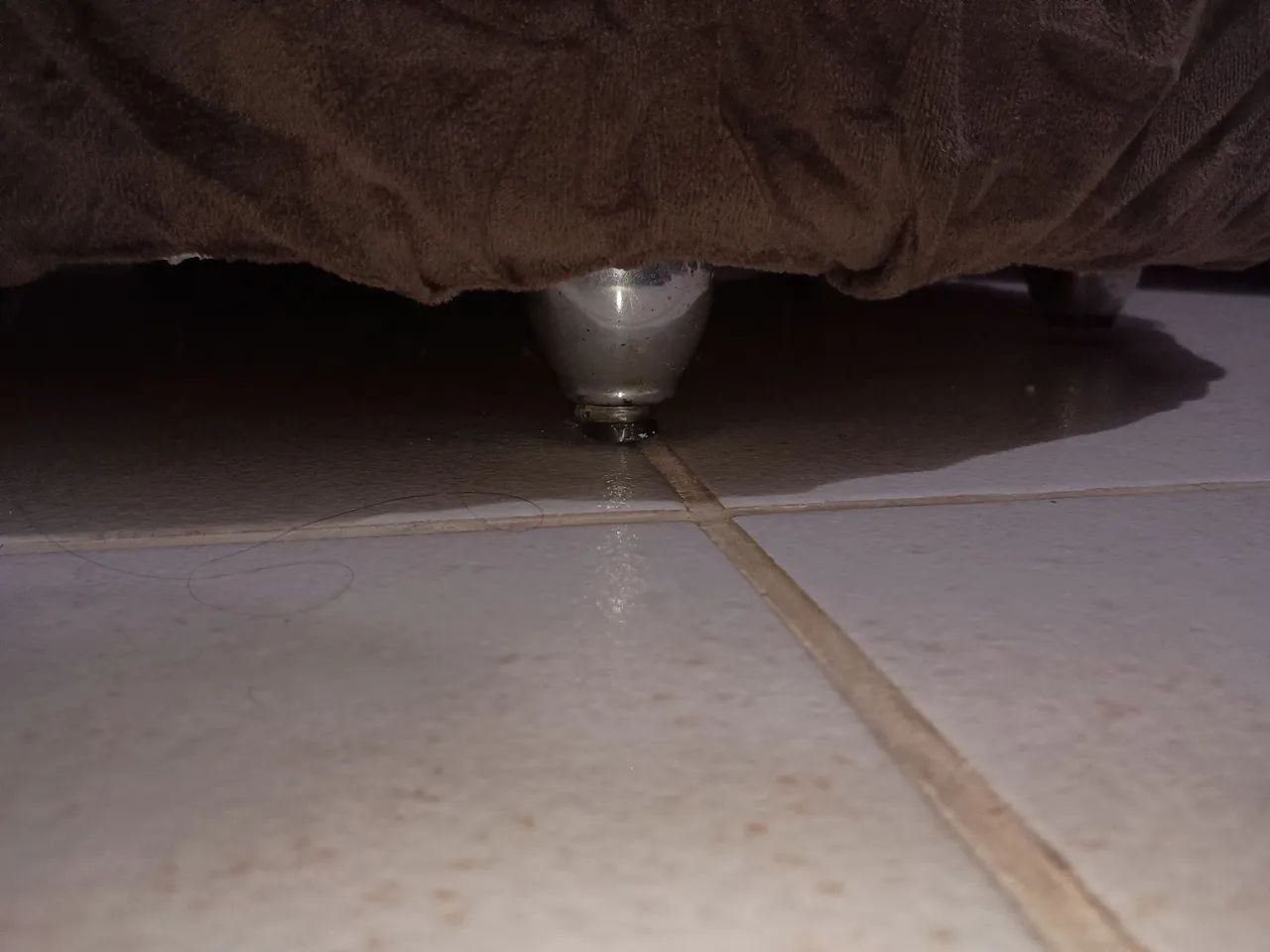 Poltrona Concha Confortável - Foto 4