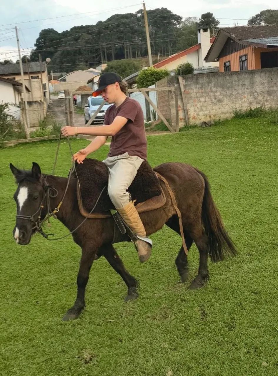 Pitiço 