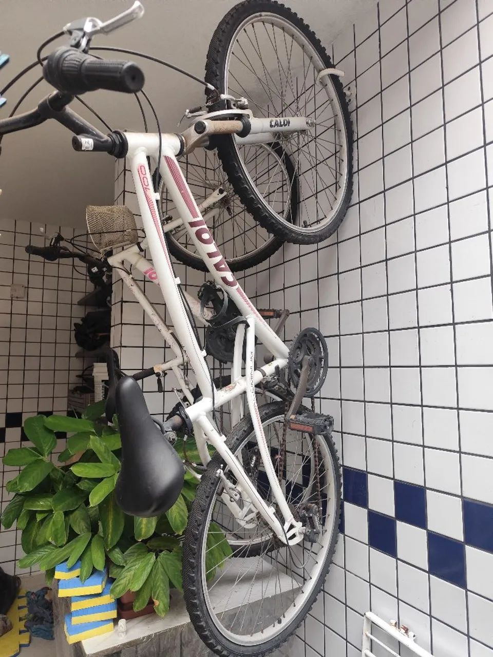 Bicicleta  - Foto 2