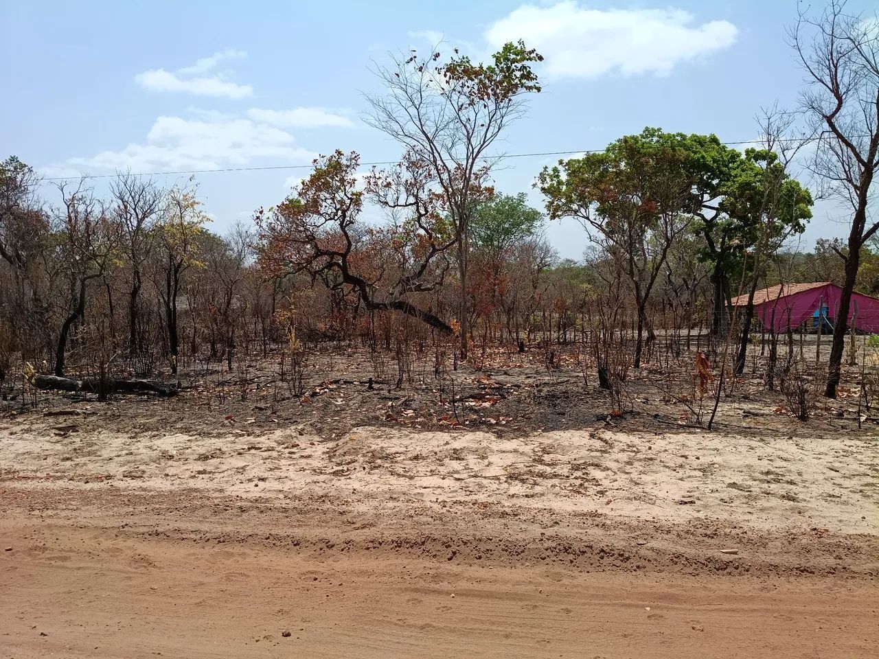Terreno  - Foto 4