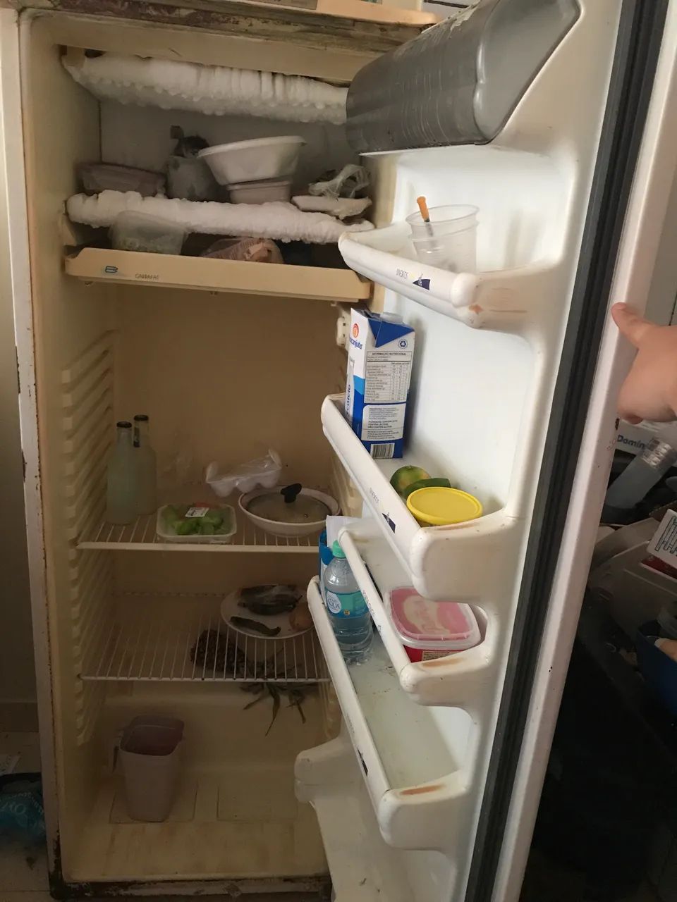 Geladeira  - Foto 2