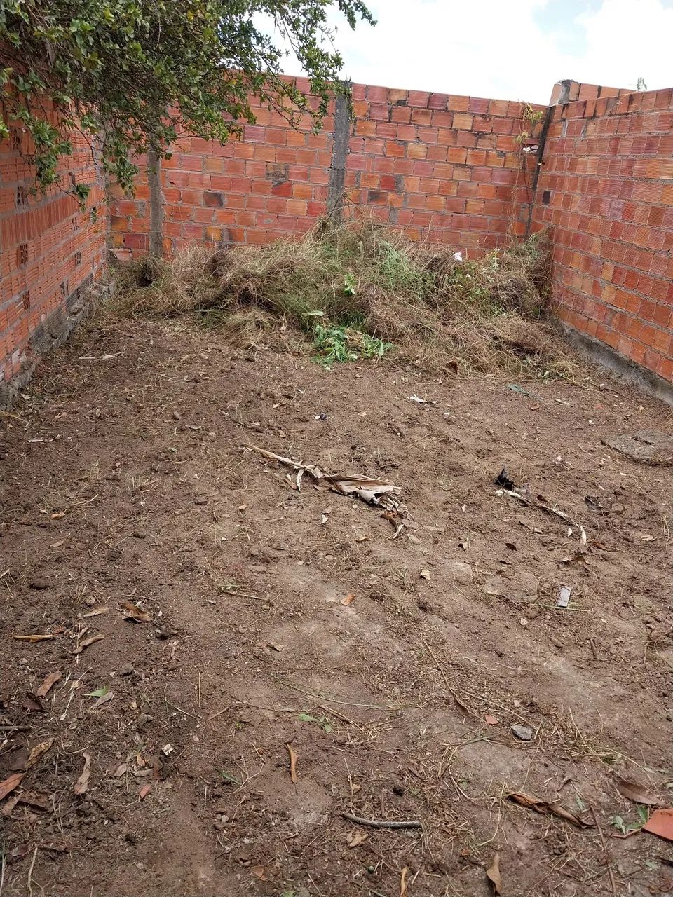 Minha casa ,meu sonho . - Foto 2