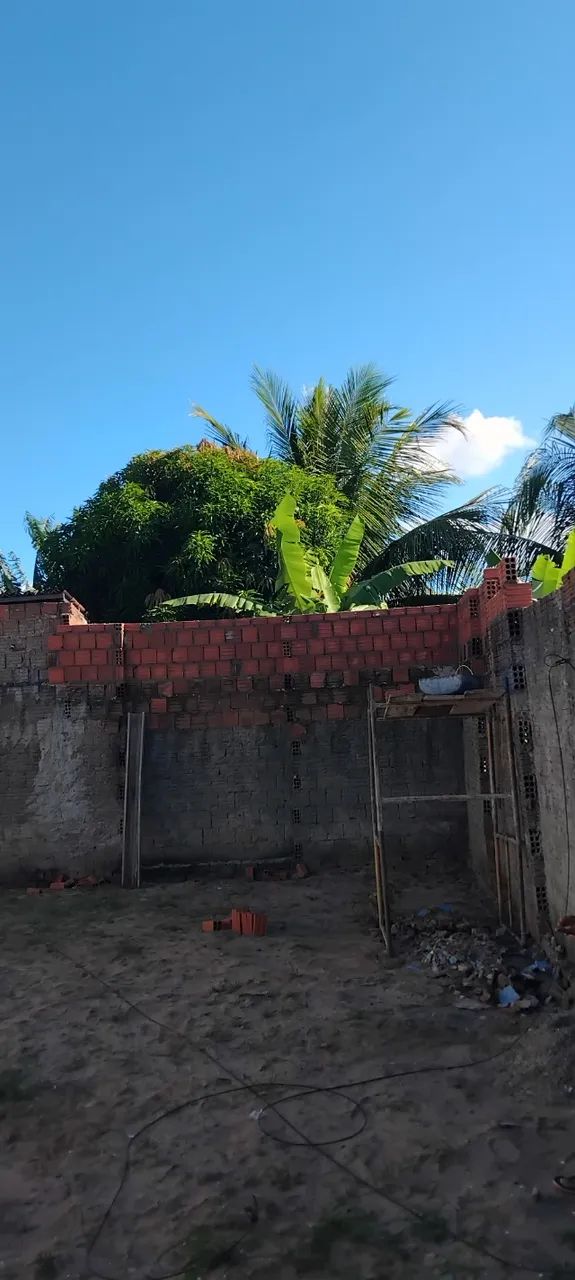 Mão de obra  - Foto 3